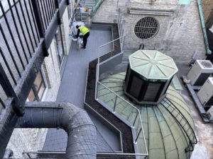 Landscaper in Islington