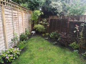 Garden Maintenance in Bromley